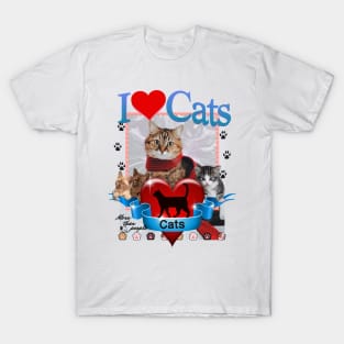 I Love Cats (more than people) Kitty Cat Lover Gift T-Shirt